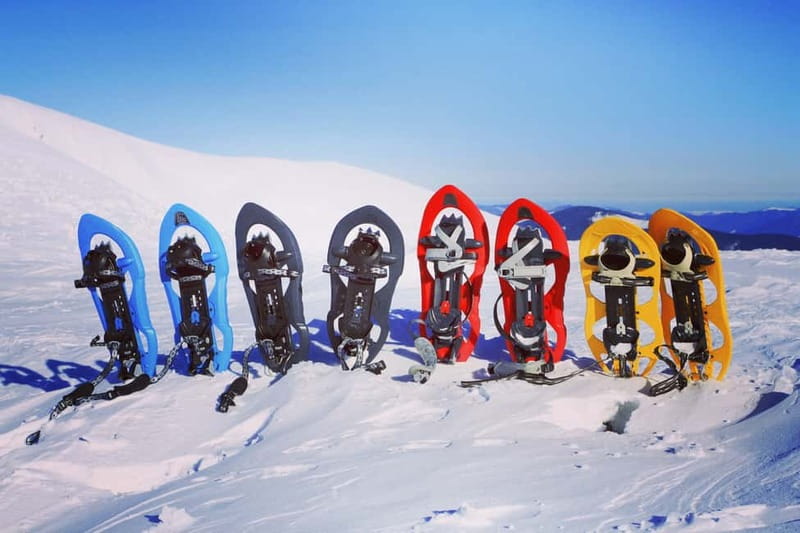 From Cluj: Winter Walking Trip on the Great Mountain - Is $115 a fair price?