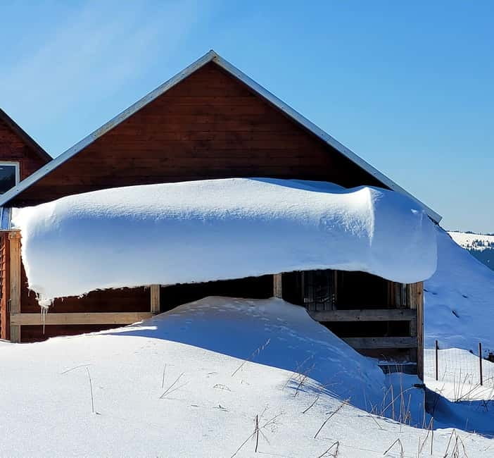 From Cluj: Winter Walking Trip on the Great Mountain - Who will enjoy this most
