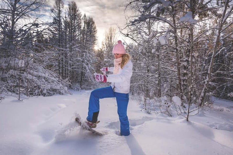 From Cluj: Winter Walking Trip on the Great Mountain - Practical preparation for a winter start