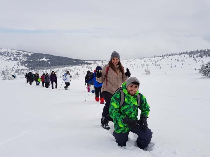 From Cluj: Winter Walking Trip on the Great Mountain - Should you book the Great Mountain snowshoe trip?