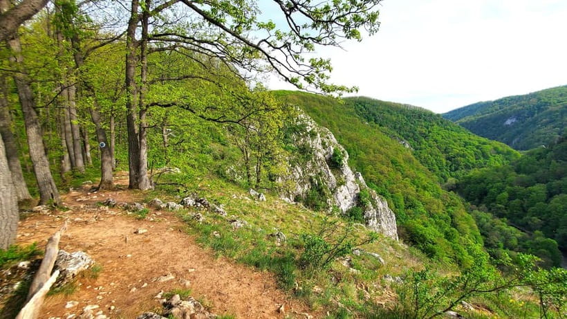 From Oradea: Gorges of Crisul Repede River - Key points to know before you book