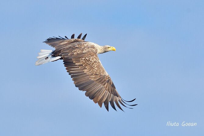 Guided Birdwatching day trip to the Danube Delta - private program - What to wear and pack for the boat