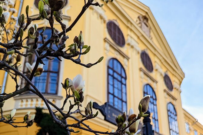 Half-Day Private Food and Wine Walking Tour Oradea Romania - Moskovits Miksa Palace and Oradea’s Art Nouveau face