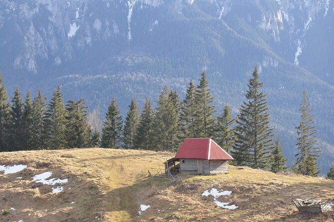 Hike in the Wild Private Photo Tour - Leaving Brasov for the Taga Mountains