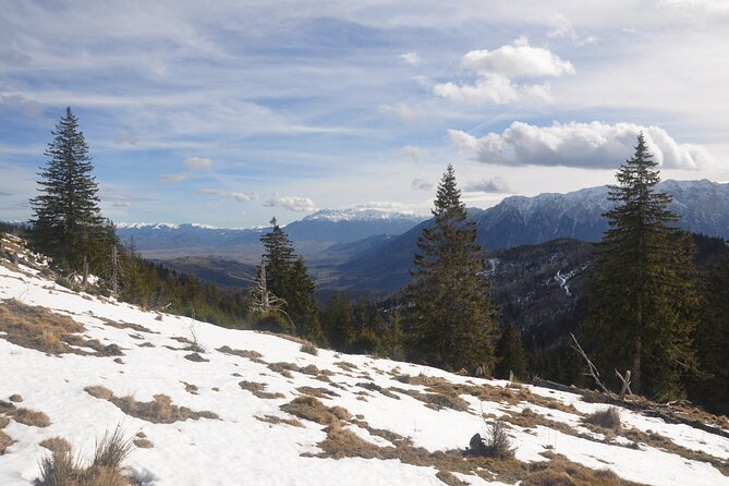 Hike in the Wild Private Photo Tour - Winter brings a different kind of wildlife experience