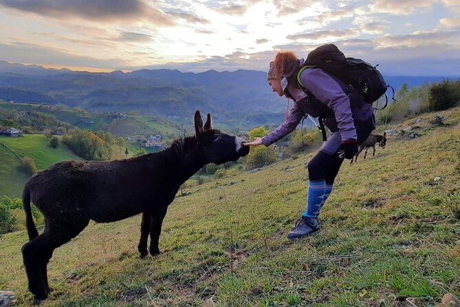 Hiking thought the best mountain villages in Romania-Private tour from Brasov - Why a private guide changes the day