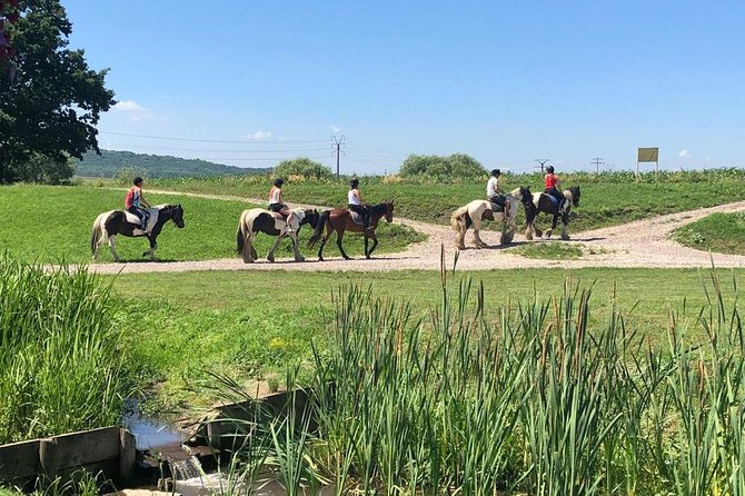 Horseback Riding Tour In Brasov - Ride Through Fields, Forests & Hills - One hour through fields, hills, and forest paths