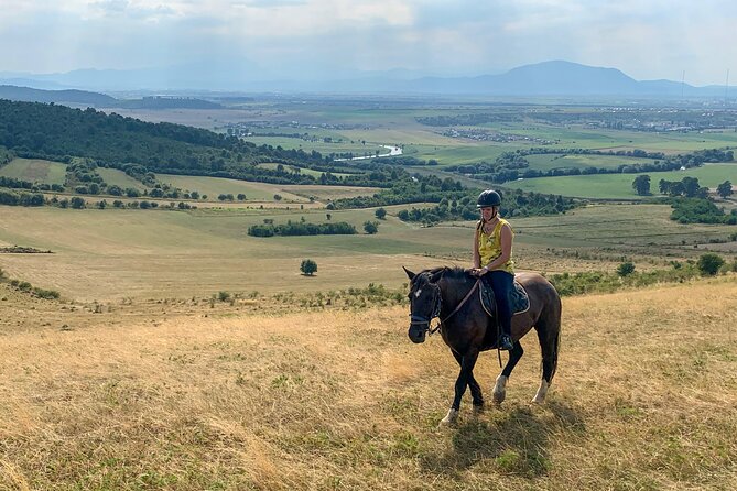 Horseback Riding Tour In Brasov - Ride Through Fields, Forests & Hills - Meeting Friesians, Andalusians, and the ranch staff