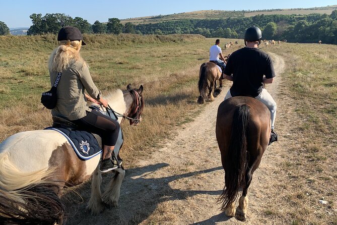 Horseback Riding Tour In Brasov - Ride Through Fields, Forests & Hills - Lunch, extra riding, and the real cost