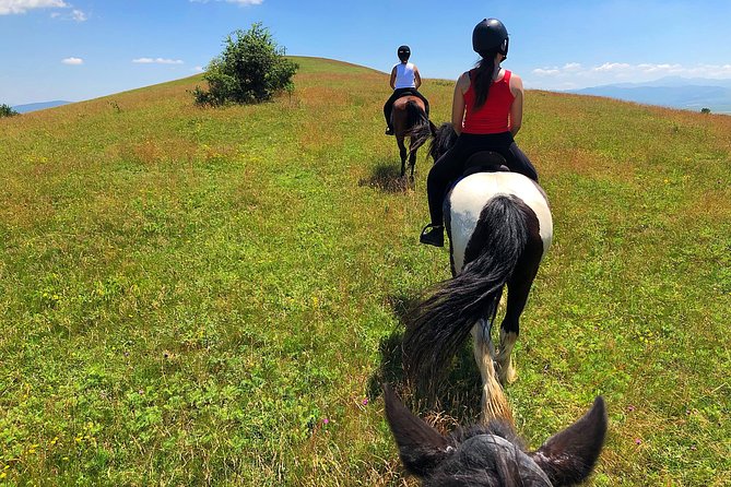 Horseback Riding Tour In Brasov - Ride Through Fields, Forests & Hills - What the small group changes