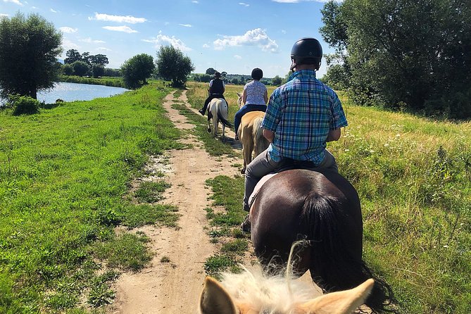 Horseback Riding Tour In Brasov - Ride Through Fields, Forests & Hills - Choosing a horse that fits your experience