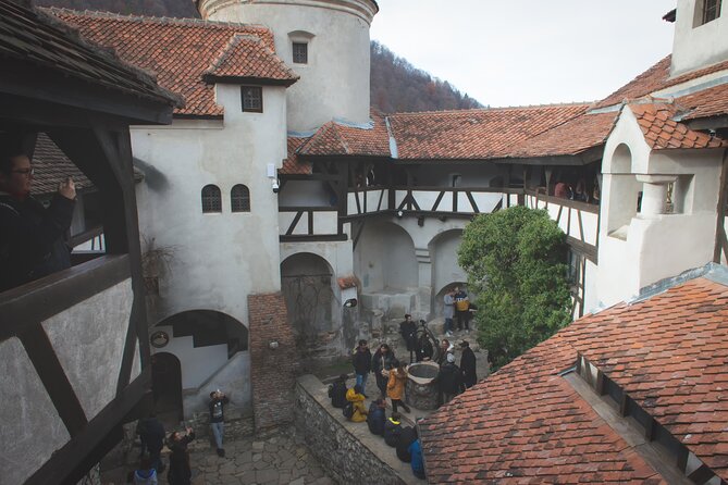 Legends&Wildlife Awaits: Dracula's Castle & Bear Sanctuary - Why this Bucharest day trip works