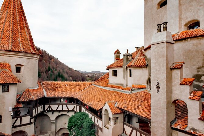 Legends&Wildlife Awaits: Dracula's Castle & Bear Sanctuary - What the small group changes