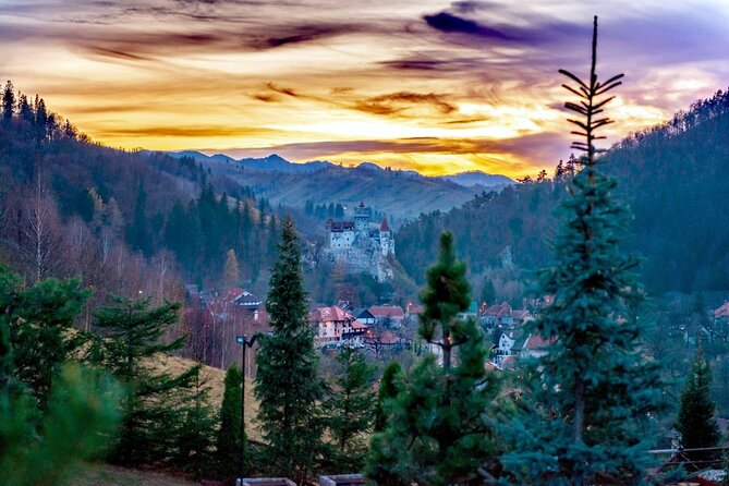 Legends&Wildlife Awaits: Dracula's Castle & Bear Sanctuary - Who should book this experience