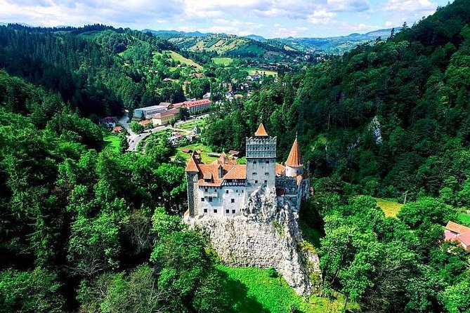 Libearty Bear Sanctuary and Dracula's Castle - Day Tour from Bucharest - How to handle crowds and castle tickets