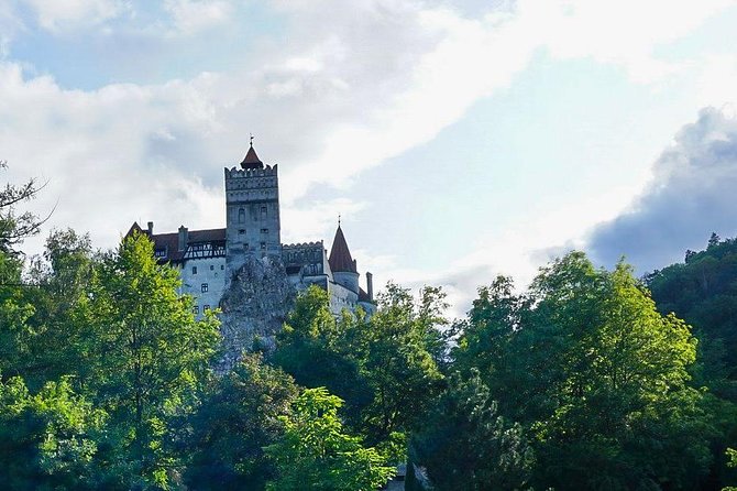 Libearty Bear Sanctuary and Dracula's Castle - Day Tour from Bucharest - The drive from Bucharest and what it means