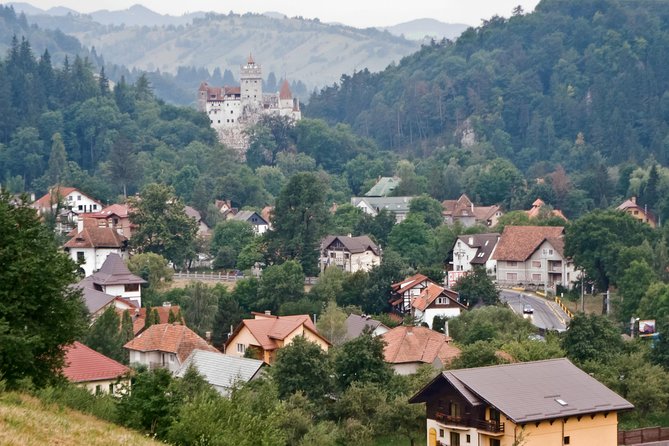 Libearty Bear Sanctuary and Dracula's Castle - Day Tour from Bucharest - Is $187.05 good value?