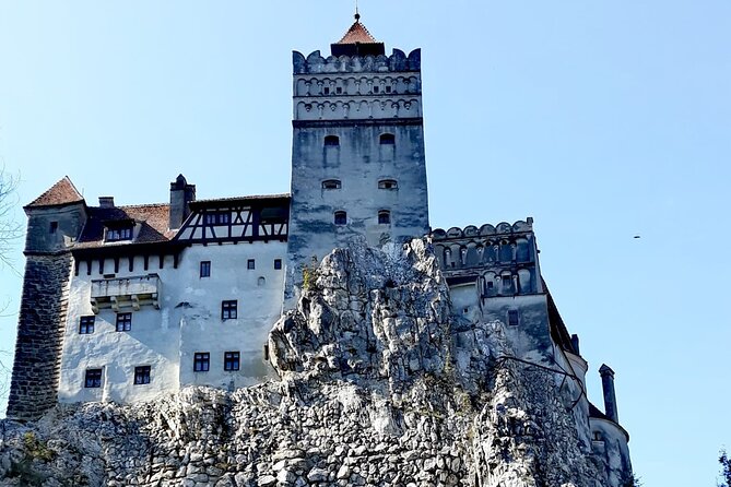 Libearty Bear Sanctuary and Dracula's Castle - Day Tour from Bucharest - Who will enjoy this tour most?