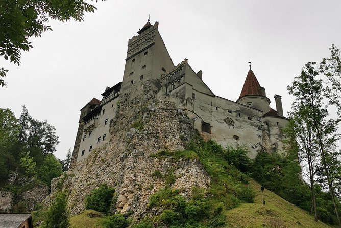 Libearty Brown Bears Sanctuary & Fun with ATV or Buggy Quad Tour - Should you book this bear sanctuary and castle tour?