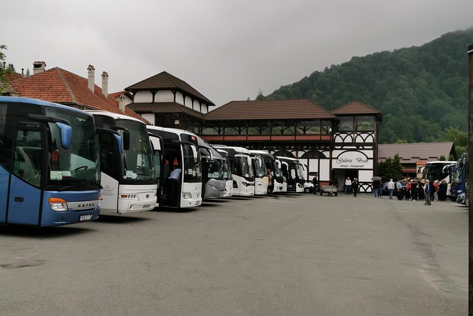 Libearty Brown Bears Sanctuary & Fun with ATV or Buggy Quad Tour - Bran Castle and the Dracula connection