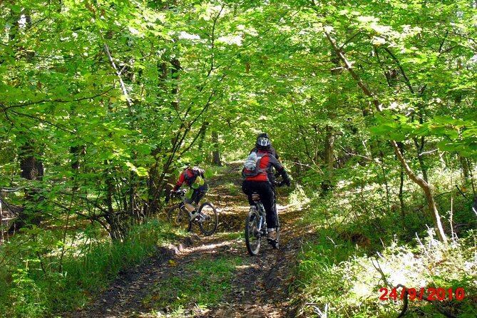 Mountain Bike Day Tour around Brasov - Why this ride is a smart change of pace in Brasov