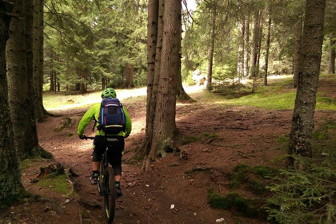 Mountain Bike Day Tour around Brasov - Choosing between a regular outing and the evening ride