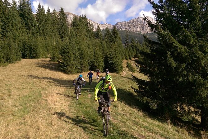 Mountain Bike Day Tour around Brasov - What you get for $51.14
