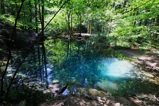Nera Gorge National Park - Private Day Tour from Timisoara - Key points to know before booking