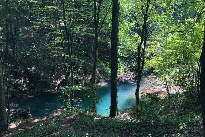 Nera Gorge National Park - Private Day Tour from Timisoara - Beușnița Waterfall and the importance of the season