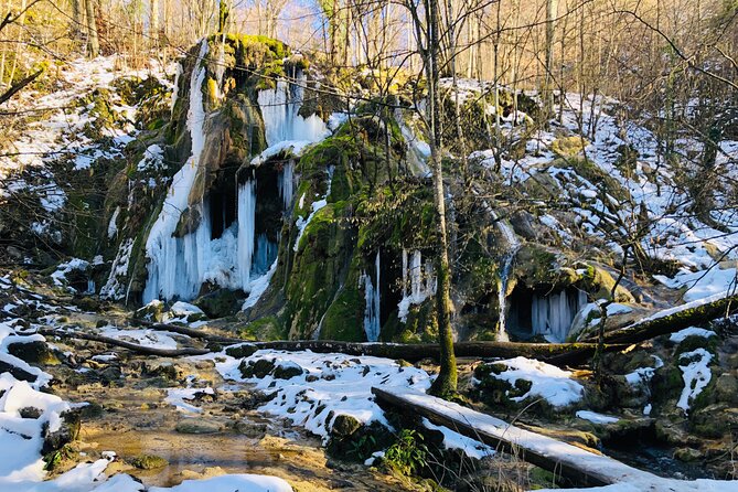 Nera Gorge National Park - Private Day Tour from Timisoara - What the private format adds