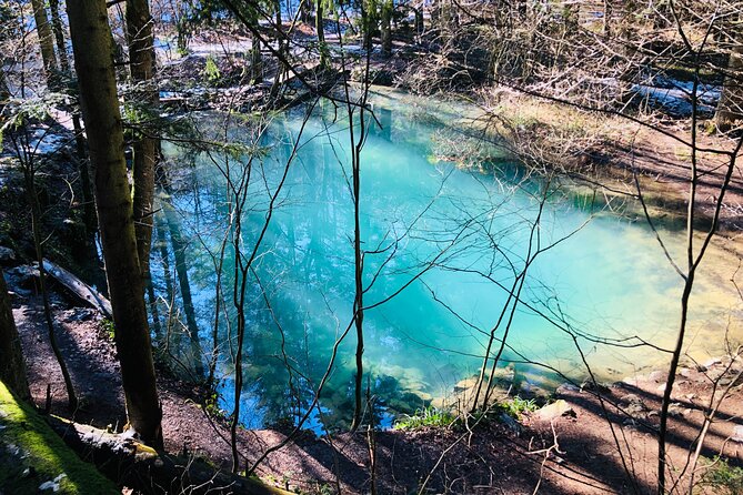 Nera Gorge National Park - Private Day Tour from Timisoara - Who will enjoy this day most