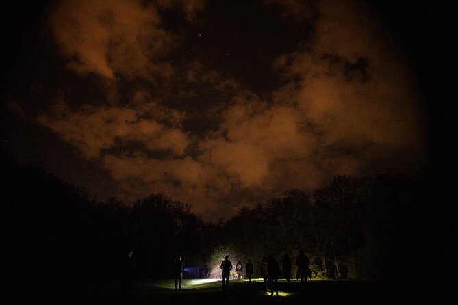 Night Tour in Hoia Baciu Forest - Why Hoia Baciu feels different after dark