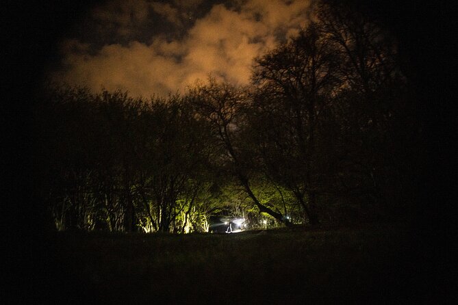 Night Tour in Hoia Baciu Forest - What the private setup changes