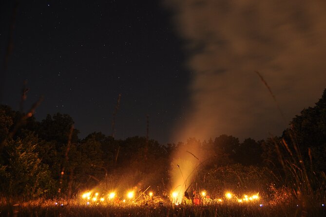Night Tour in Hoia Baciu Forest - Alex and the value of a good storyteller