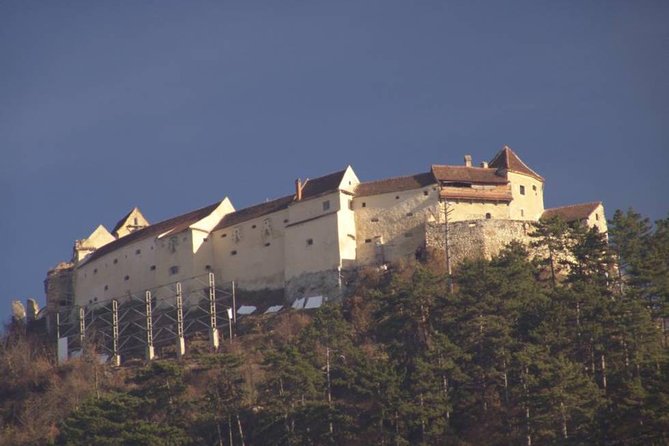 One day trip Bear Sanctuary Dracula Castel and Rasnov Fortress from Brasov - Private transport makes the route simple