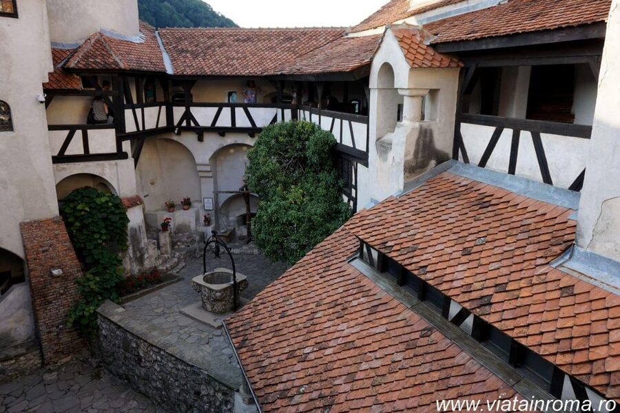 One day trip Bear Sanctuary, Dracula Castle - My verdict: book it for variety and convenience