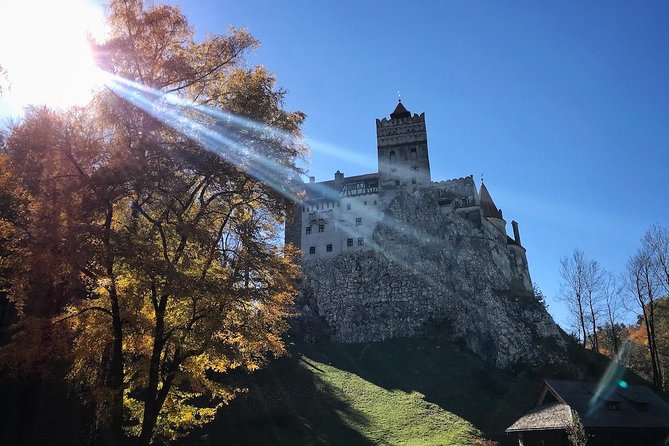 One day trip Bear Sanctuary, Dracula Castle, Rasnov Fortress from Brasov - Cost, extra fees, and overall value
