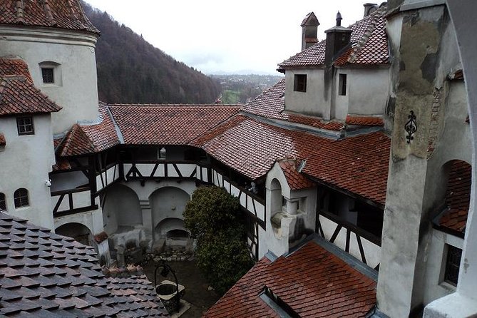 One day trip Bear Sanctuary, Dracula Castle, Rasnov Fortress from Brasov - Who should book this tour?