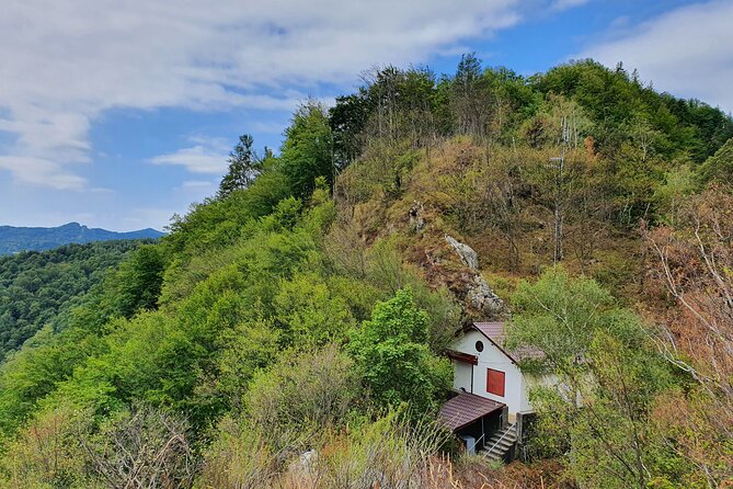 One-Day Vlad the Impaler Royal Court Private Tour from Bucharest - Poienari Castle and 1,480 demanding stairs