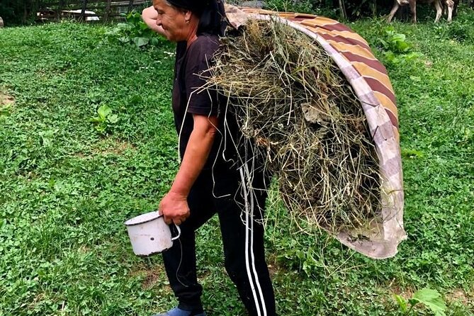 Original Carpathian Village Experience and Sinaia in one day tour - From Bucharest to Transylvanian village life