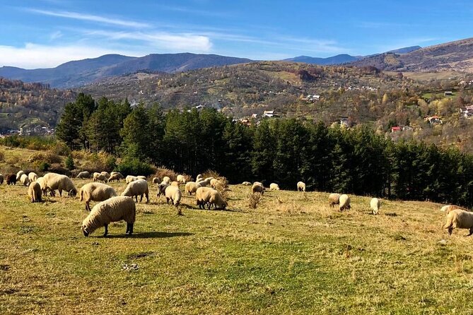 Original Carpathian Village Experience and Sinaia in one day tour - Paltinu Lake and its mountain setting