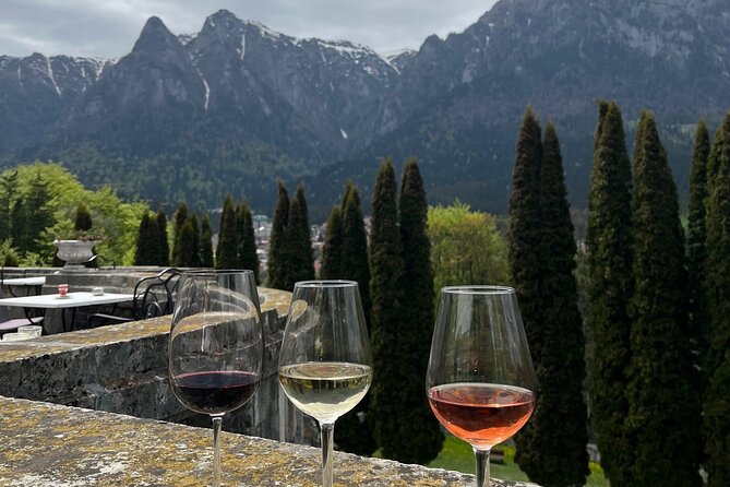 Peles & Cantacuzino Castles: Gourmet Wine & Cultural Day trip - The guide matters more than the vehicle