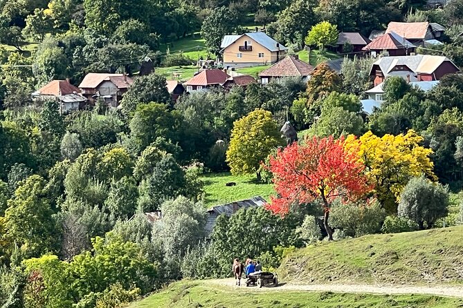 Peles castle and authentic Romanian village experience - day trip - The horse-drawn cart to 1,000 meters