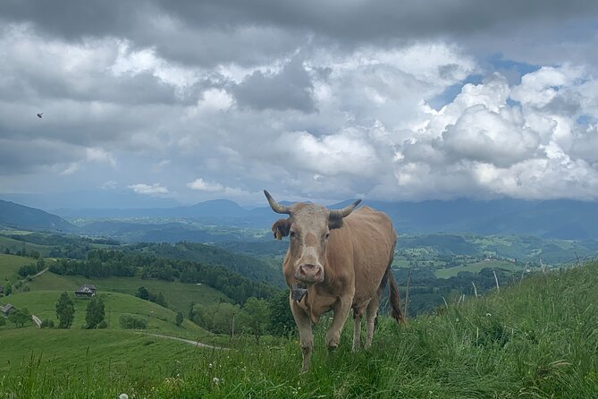 Peles castle and authentic Romanian village experience - day trip - Who will enjoy this day most
