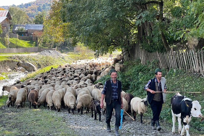 Peles castle and authentic Romanian village experience - day trip - Secaria village and the value of a home meal