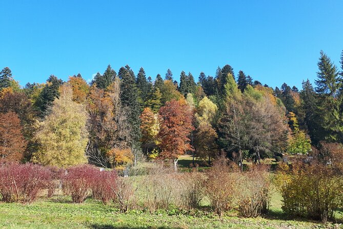 Peles Castle and optional Cantacuzino Castle from Brasov - Is $81.80 Good Value?