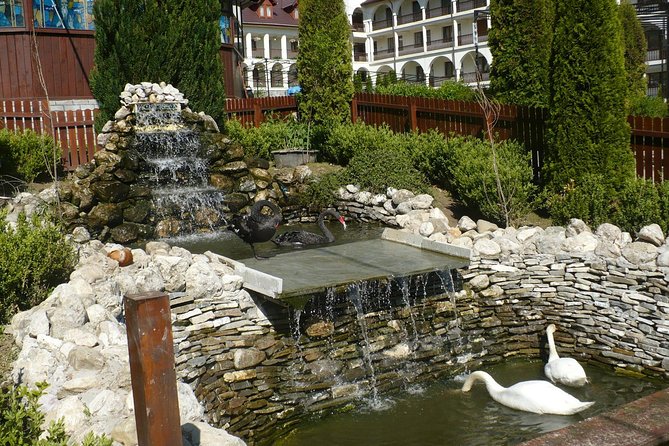 Peles Castle and optional Cantacuzino Castle from Brasov - Choosing Between the Peles and Cantacuzino Options