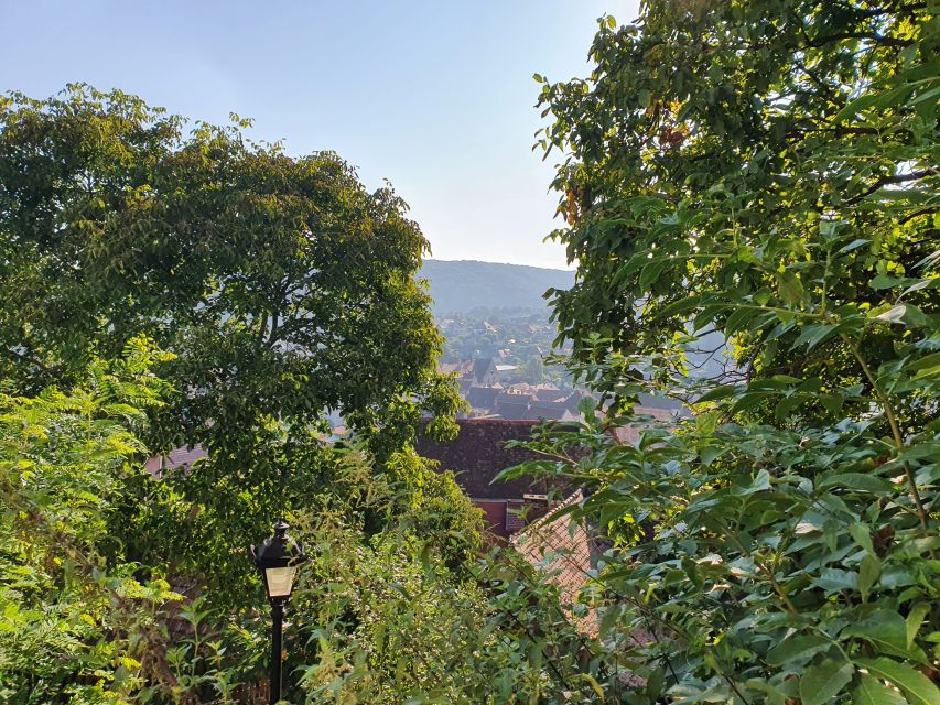 Peleș Castle, Bran Castles and Brasov City - Private Tour - Is $370 per person good value?