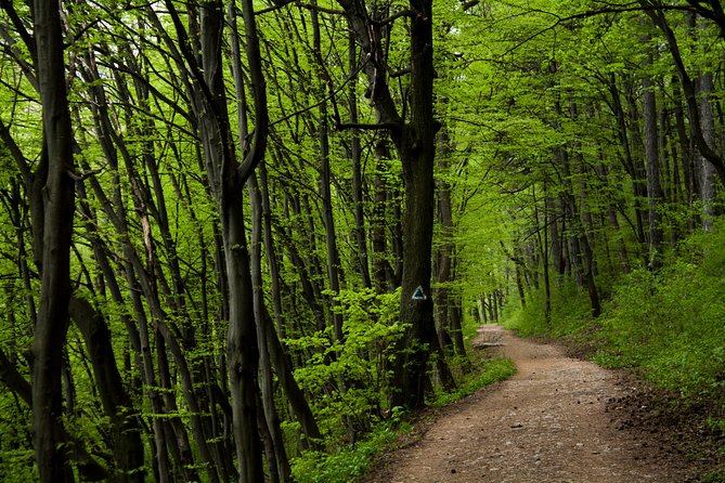 Perfect bike tour around Brasov - Key points at a glance