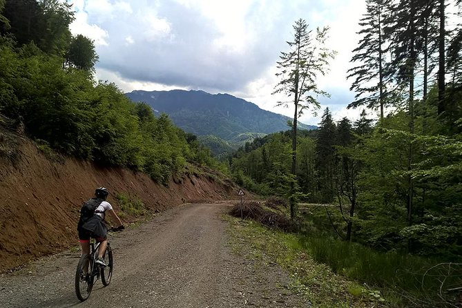 Perfect bike tour around Brasov - Finishing with food in Cristian